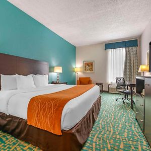 Chambre Accessible aux Personnes à Mobilité Réduite Lit Queen-Size